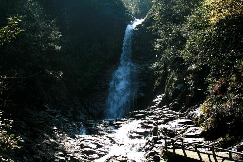 沙漠中寻宝